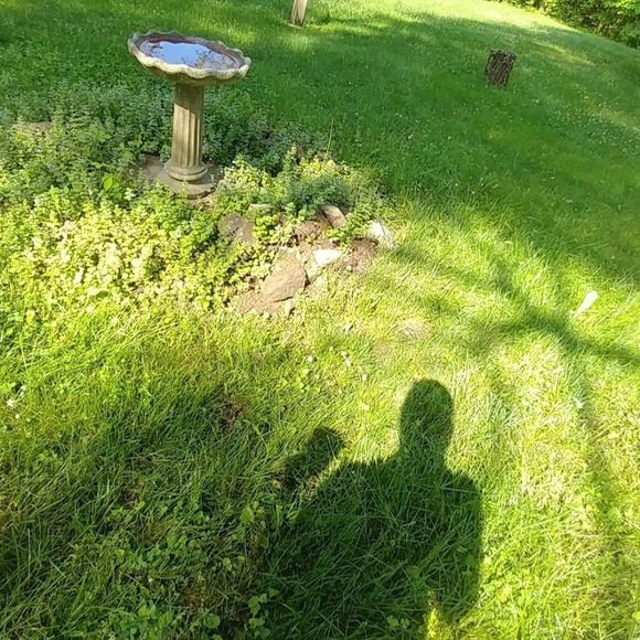 imgnatn192